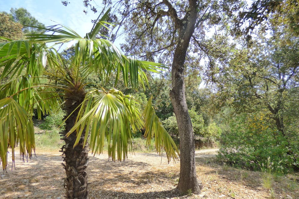 Photo of Outdoor in La Roquebrussanne