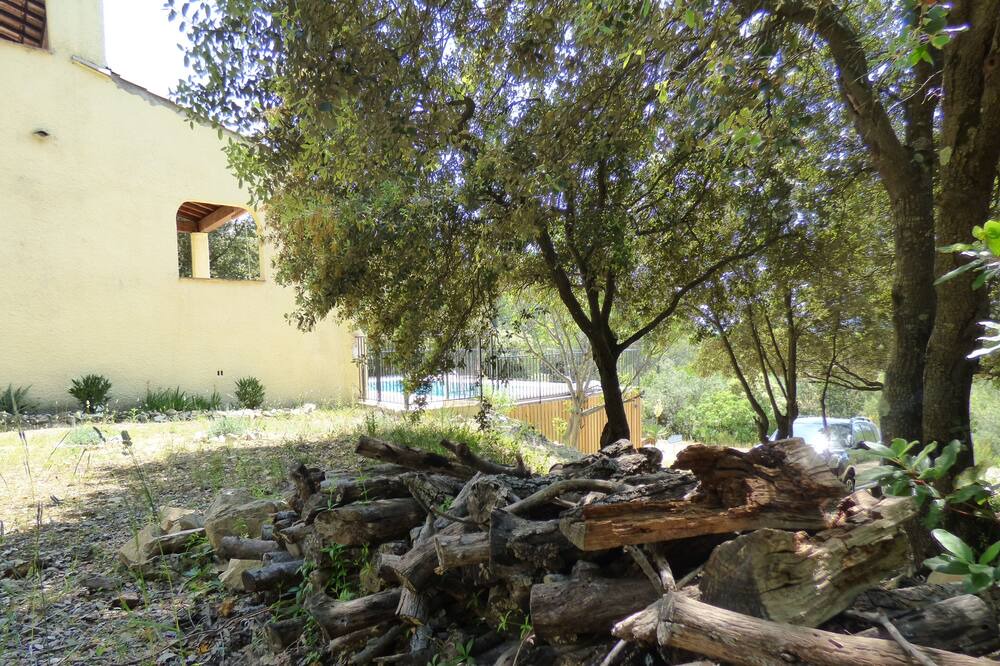 Photo of Outdoor in La Roquebrussanne