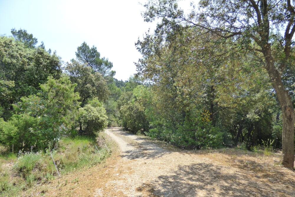 Photo of Outdoor in La Roquebrussanne