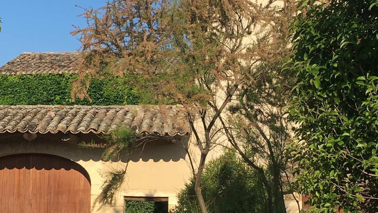 Photo of Outdoor in Caumont-sur-Durance