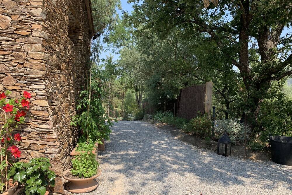 Photo of Outdoor in La Mole