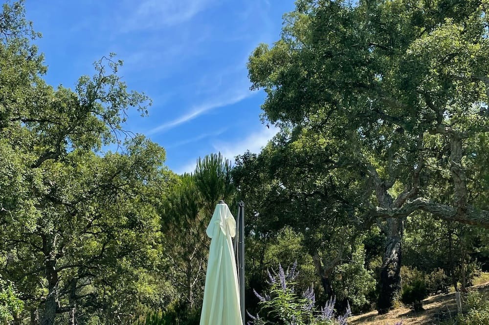 Photo of Outdoor in La Mole