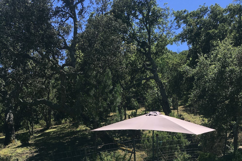 Photo of Outdoor in La Mole