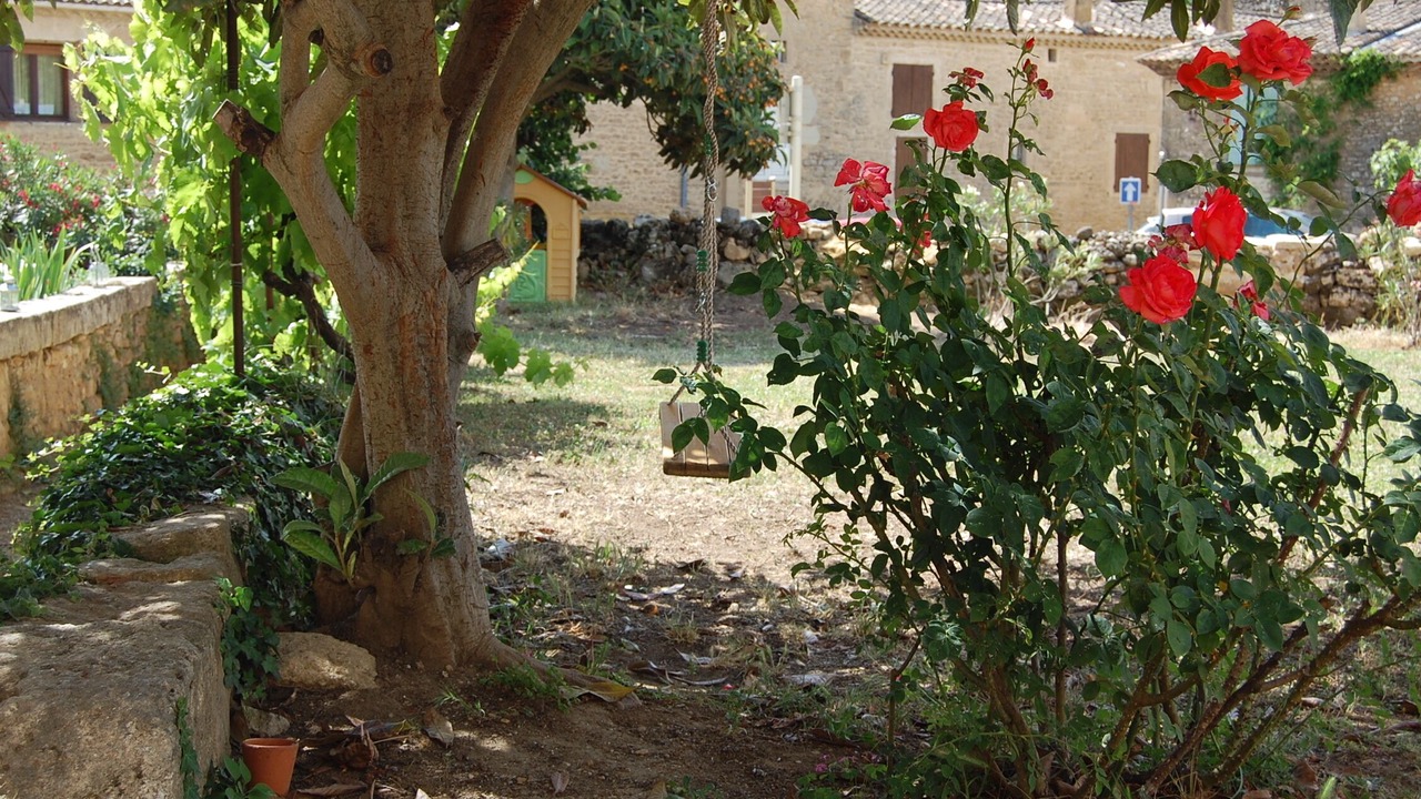 Photo of Outdoor in Vers-Pont-du-Gard