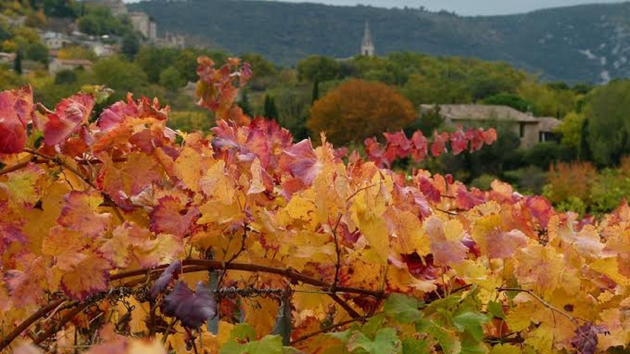 Photo of Outdoor in Bonnieux