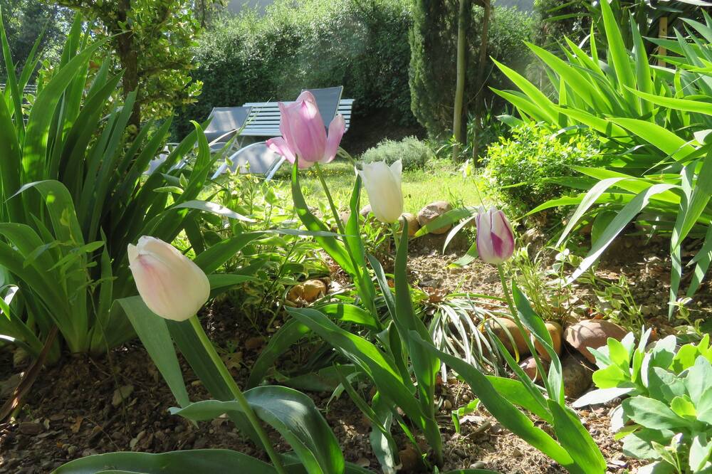 Photo of Outdoor in Bedarrides