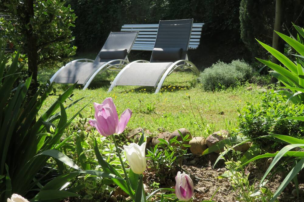 Photo of Outdoor in Bedarrides