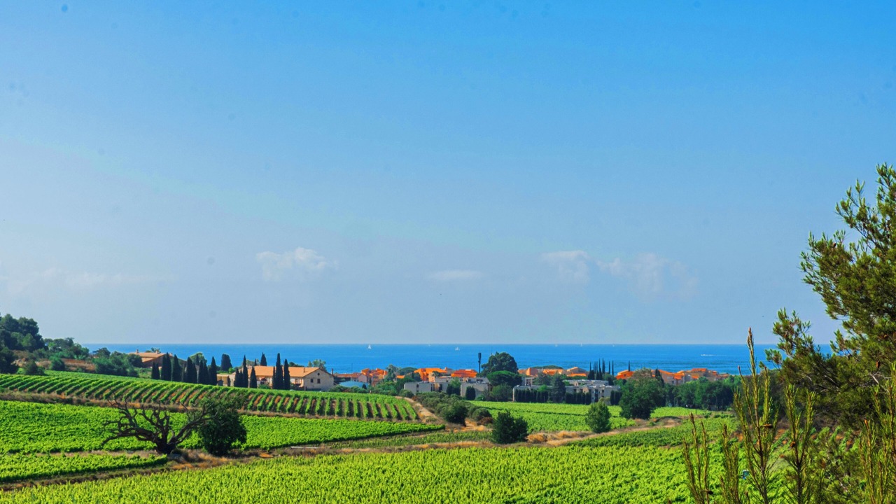 Photo of Outdoor in La Londe-les-Maures