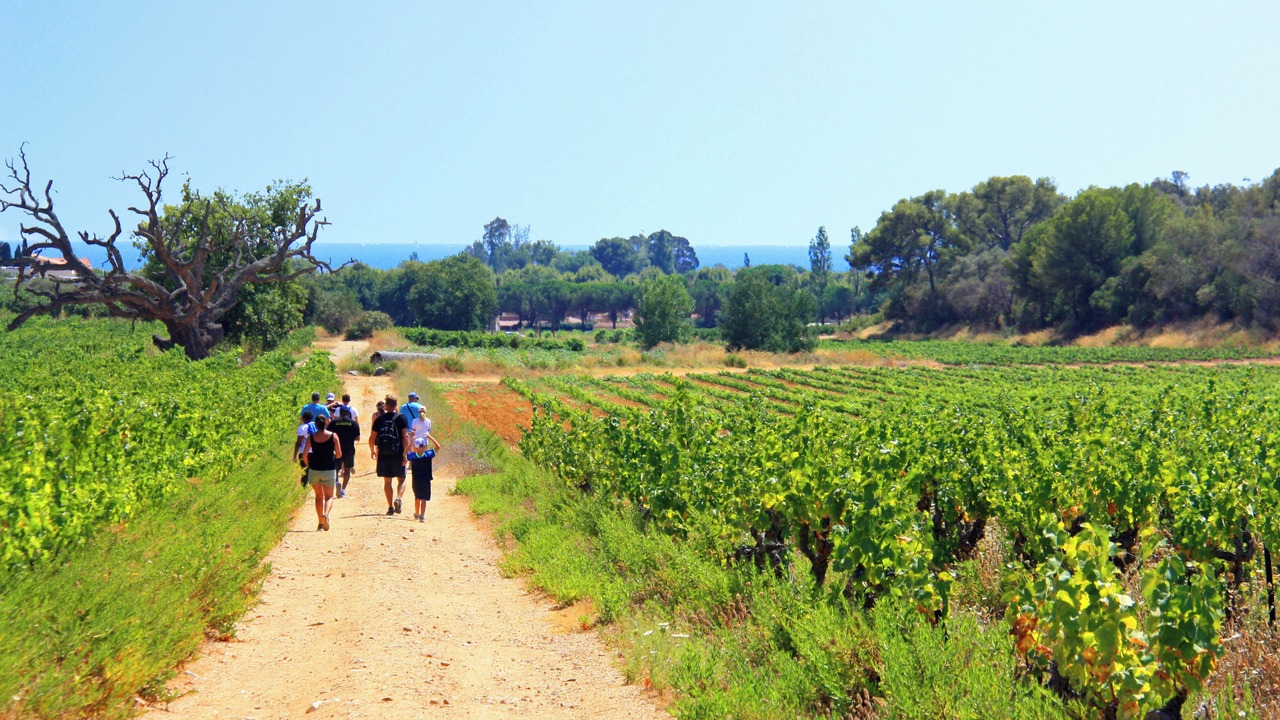 Photo of Others in La Londe-les-Maures