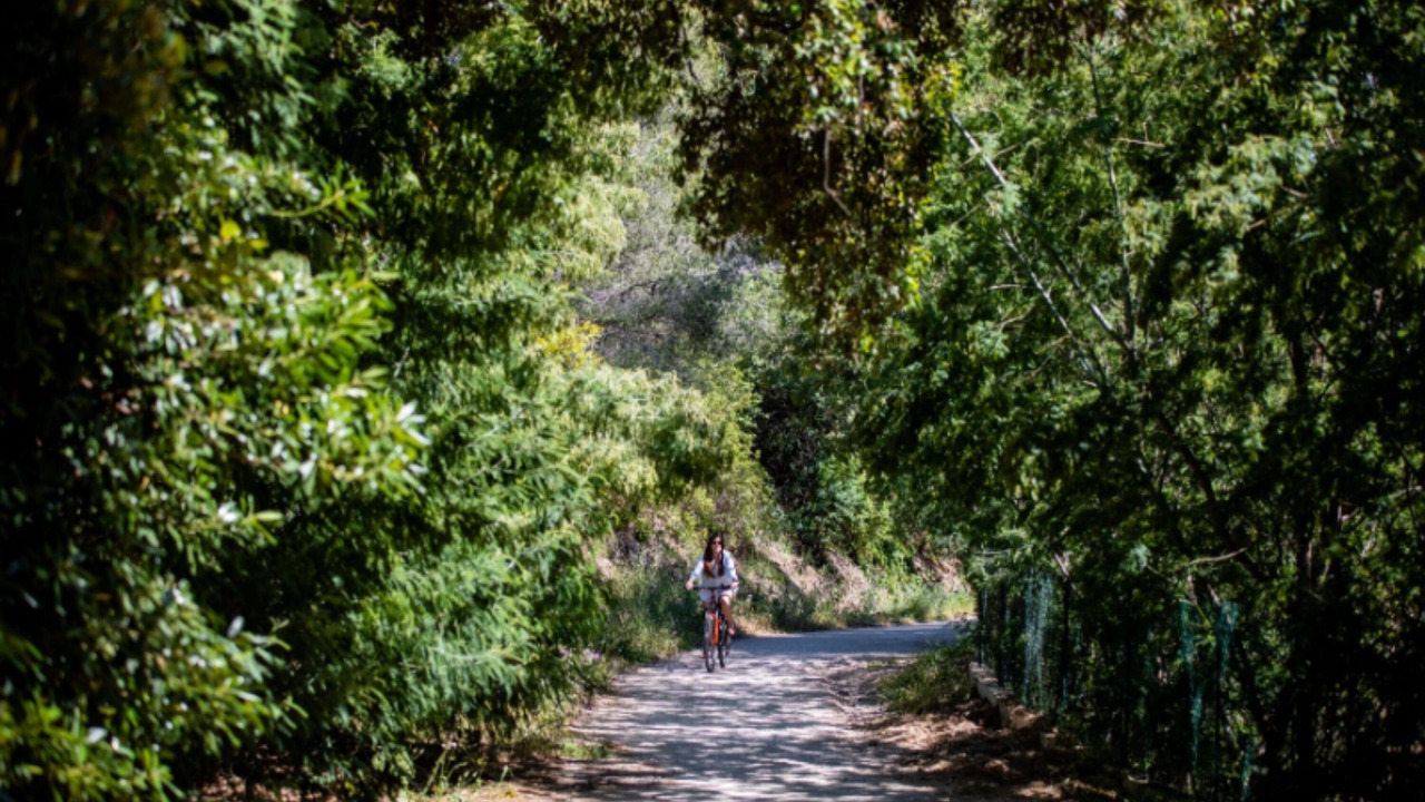 Photo of Outdoor in Le Rayol
