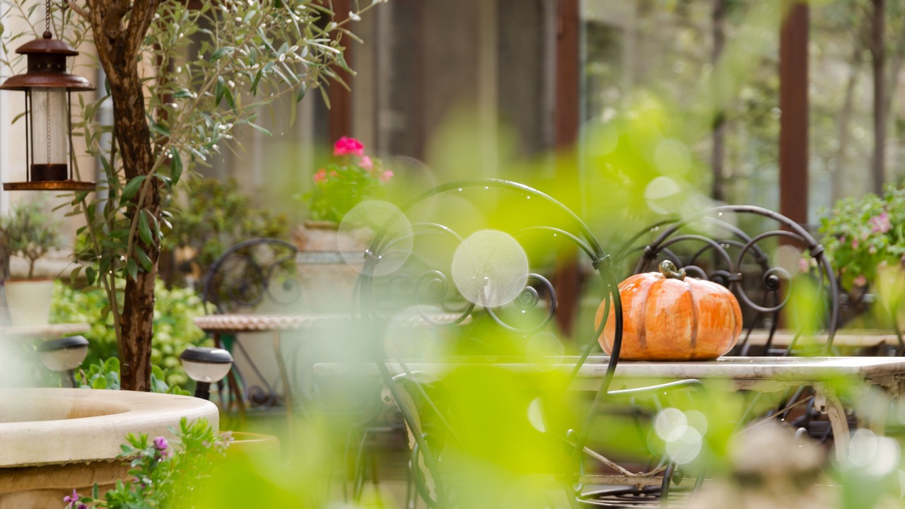 Photo of Outdoor in Cavaillon