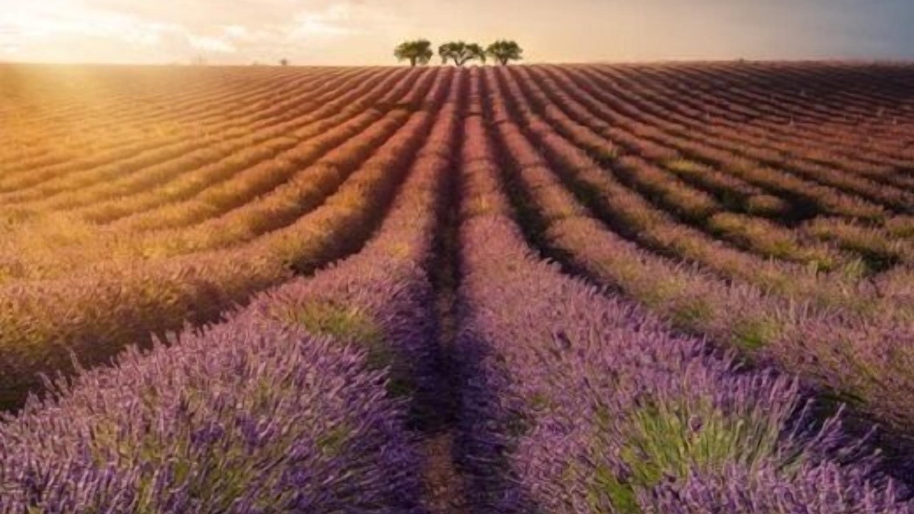 Photo of Outdoor in Oraison