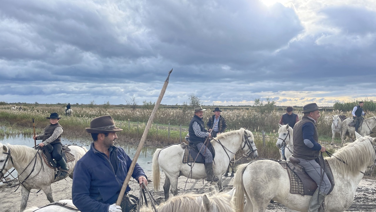 Photo of Others in Beaucaire