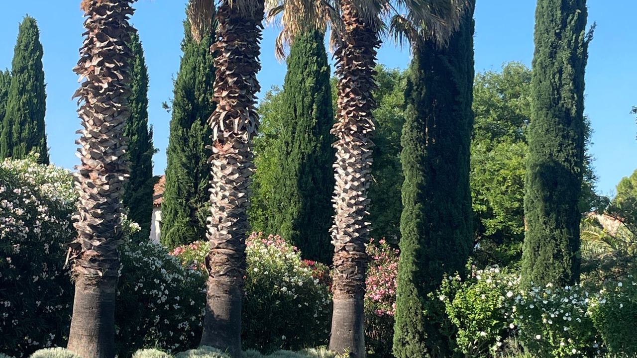Photo of Others in Beaucaire