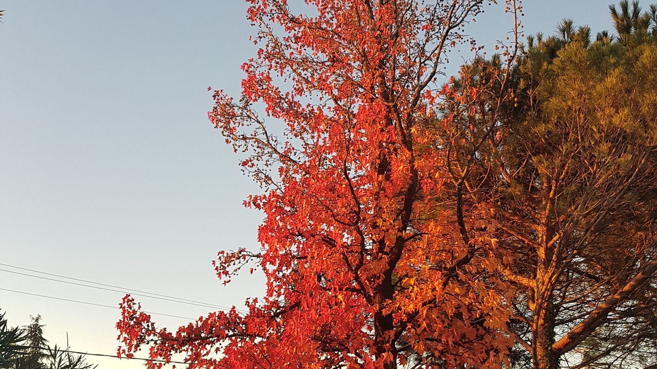 Photo of Outdoor in Laudun