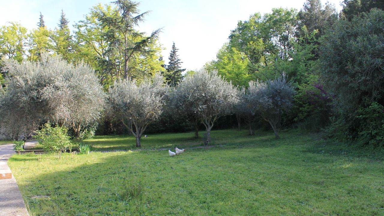 Photo of Outdoor in Caderousse