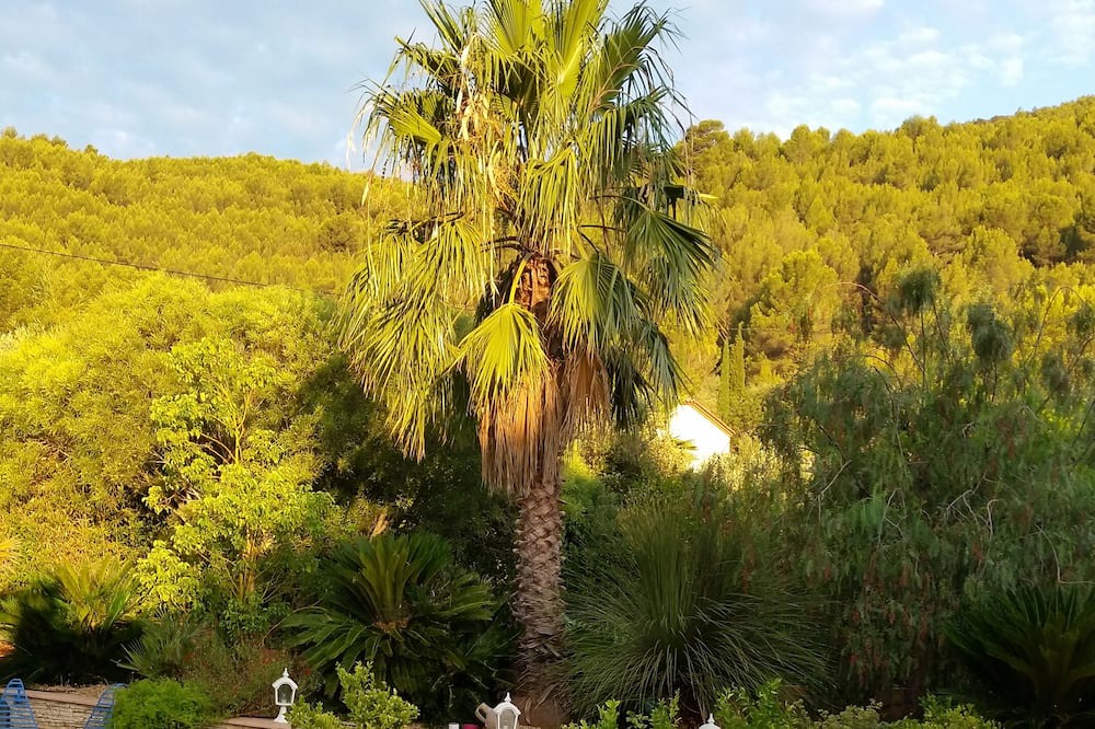 Photo of Outdoor in Cuers