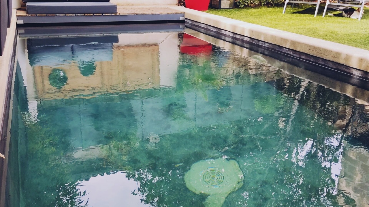 Photo of Outdoor in Avignon City Centre