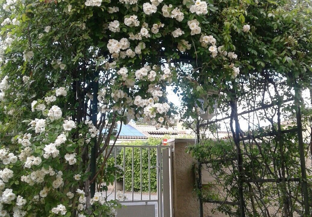 Photo of Outdoor in Les Hauts de Villeneuve