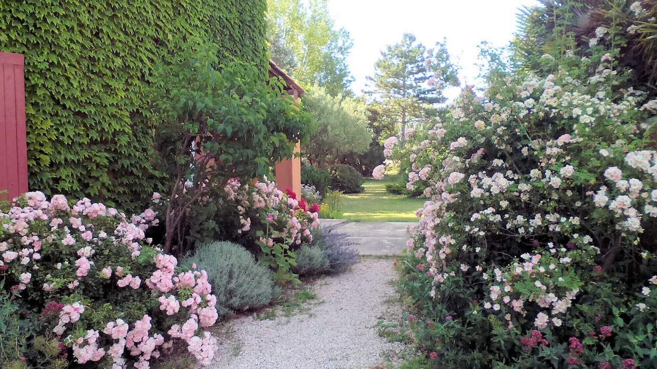 Photo of Outdoor in Courthezon