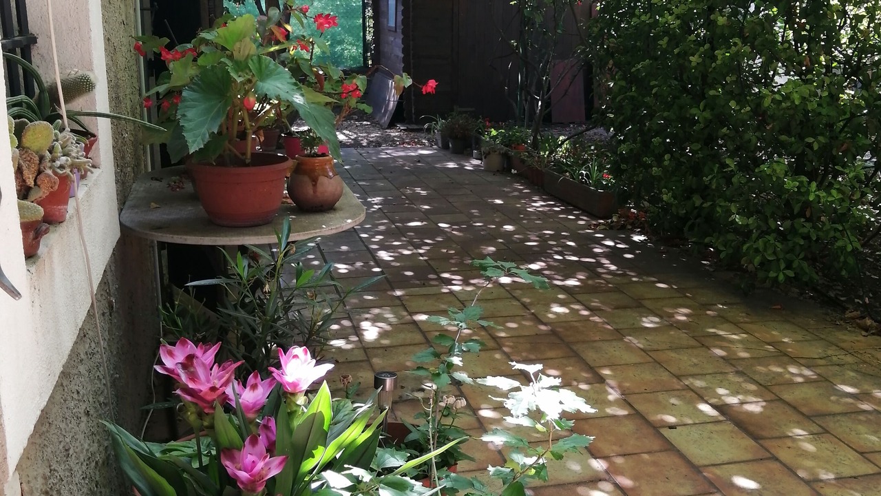 Photo of Outdoor in Montolivet