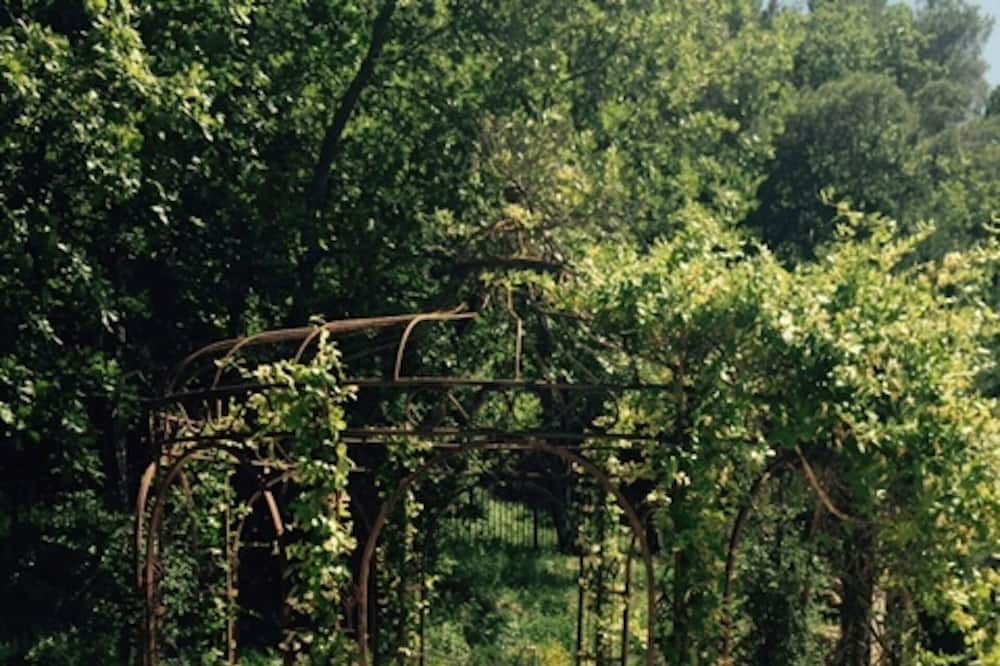 Photo of Outdoor in Le Barroux