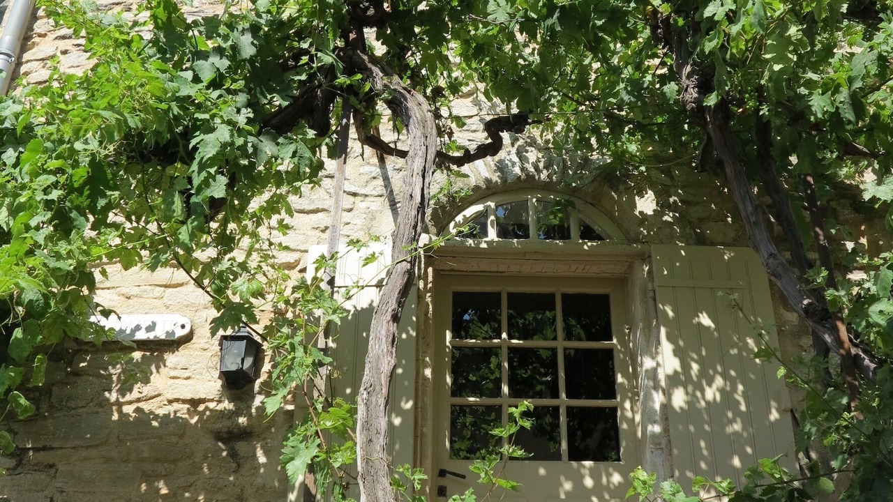 Photo of Outdoor in Goult