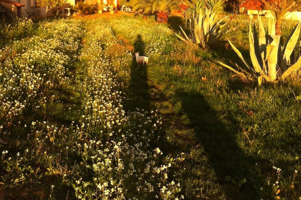 Photo of Outdoor in Puget-Ville
