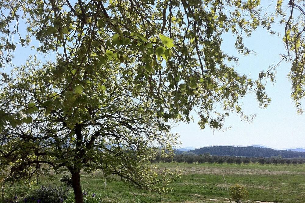 Photo of Outdoor in Puget-Ville