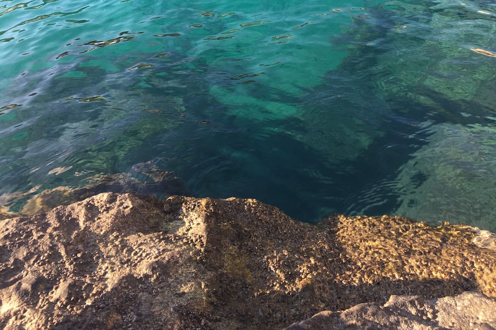 Photo of Others in Calanque de Morgiou