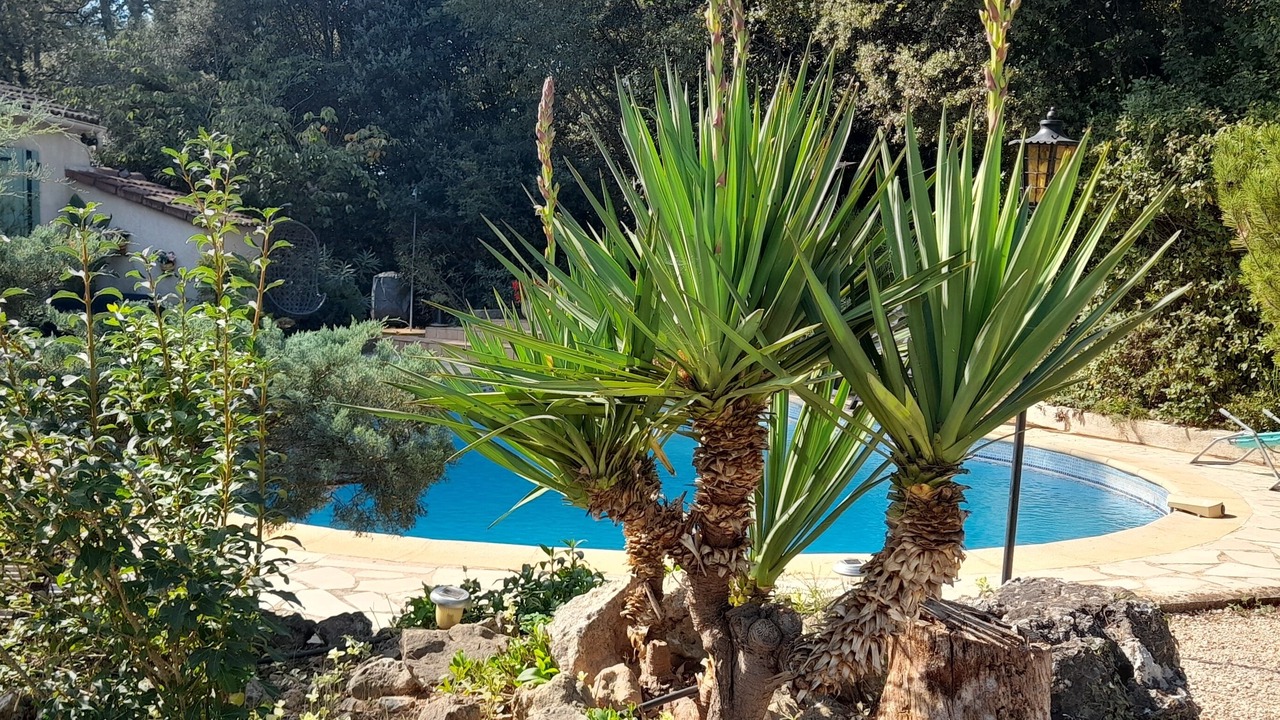 Photo of Outdoor in Gareoult