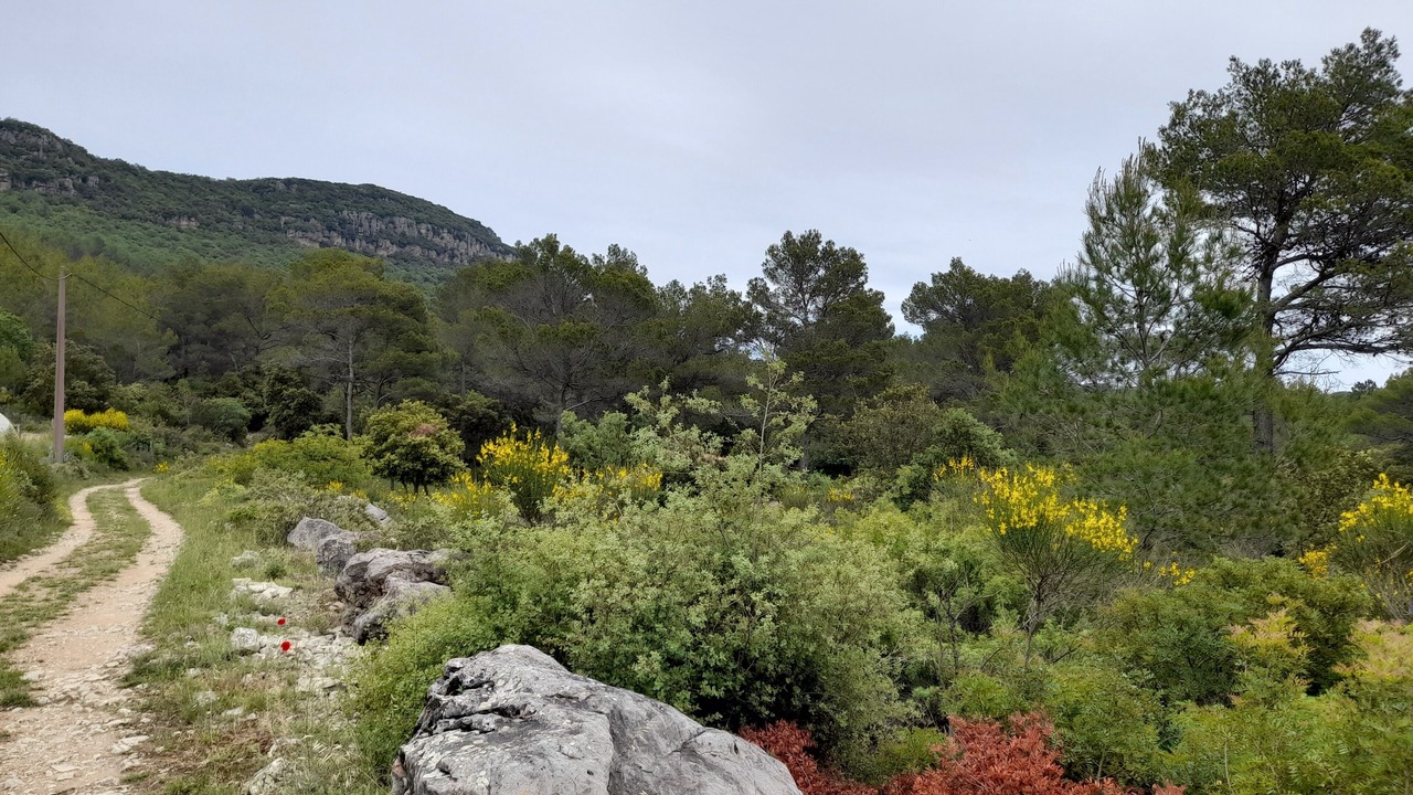 Photo of Outdoor in Gareoult