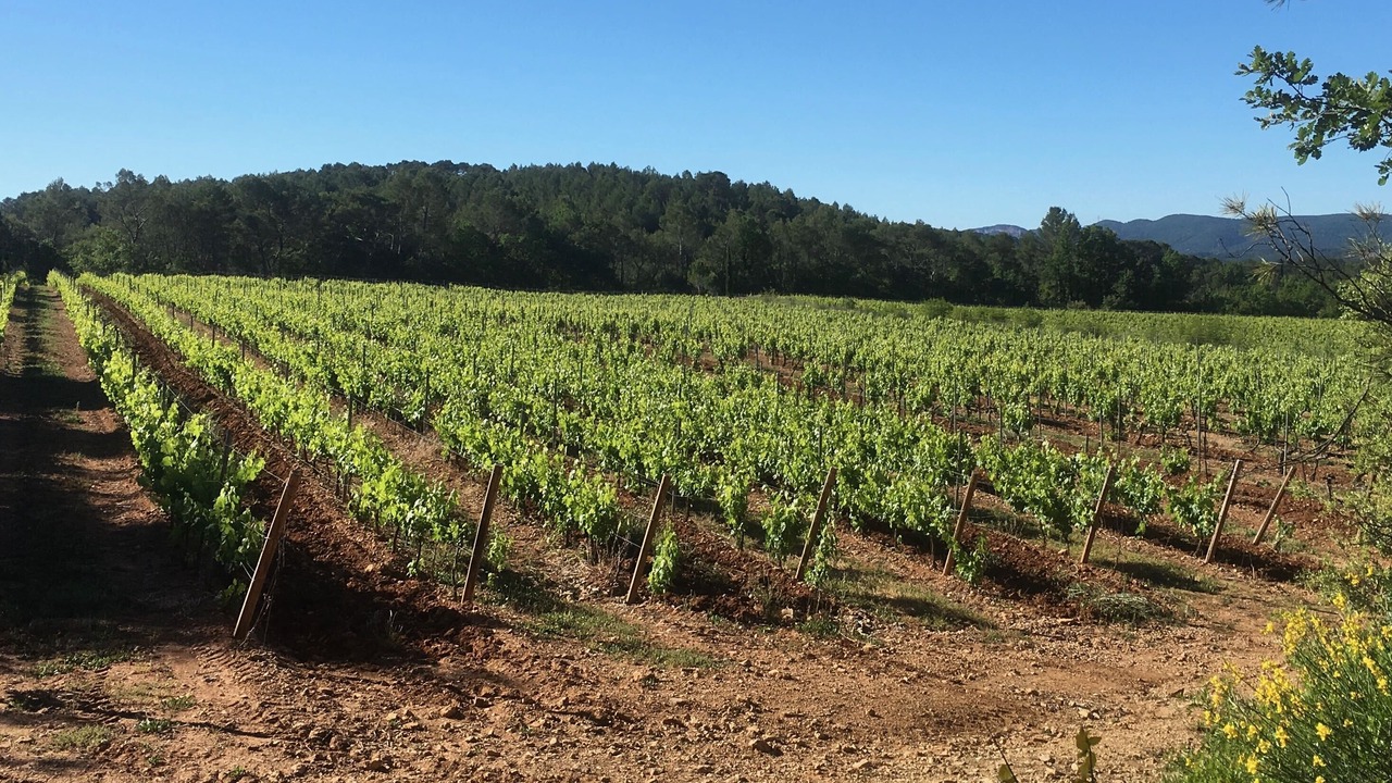 Photo of Outdoor in Saint-Antonin-du-Var