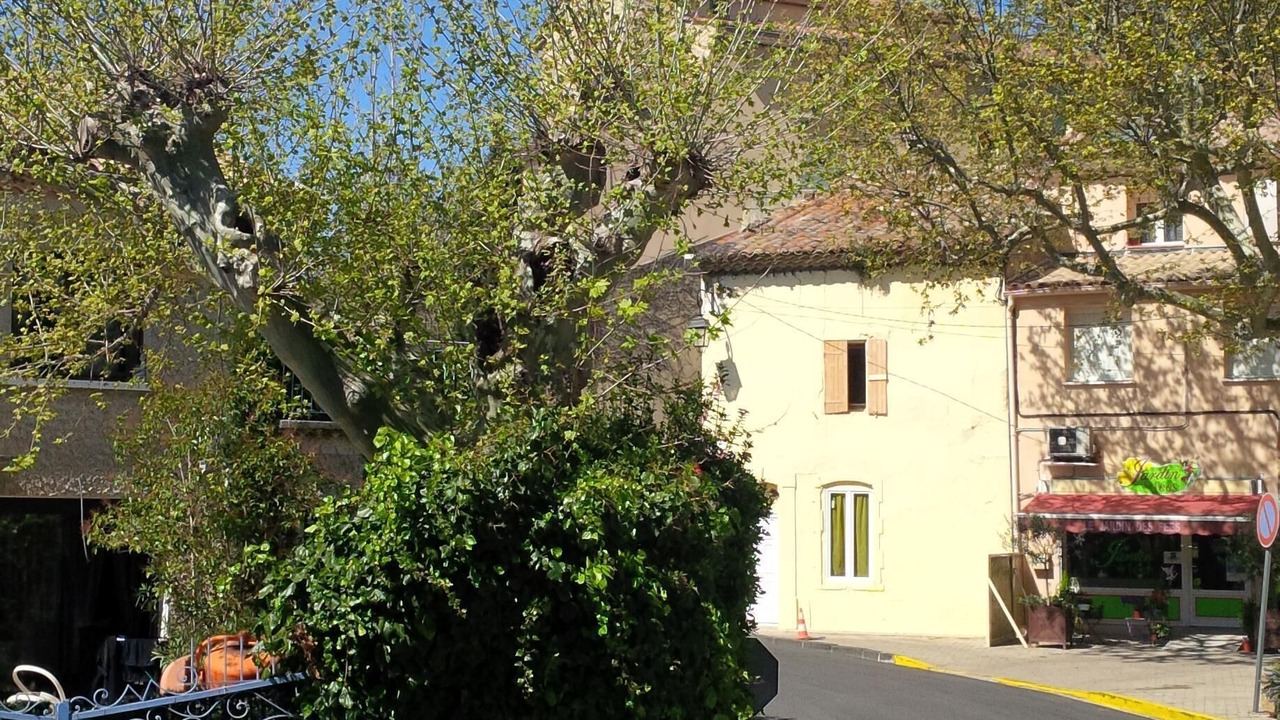 Photo of Outdoor in Loriol-du-Comtat