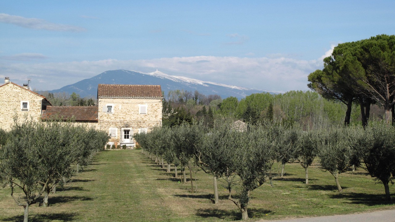 Photo of Outdoor in Loriol-du-Comtat