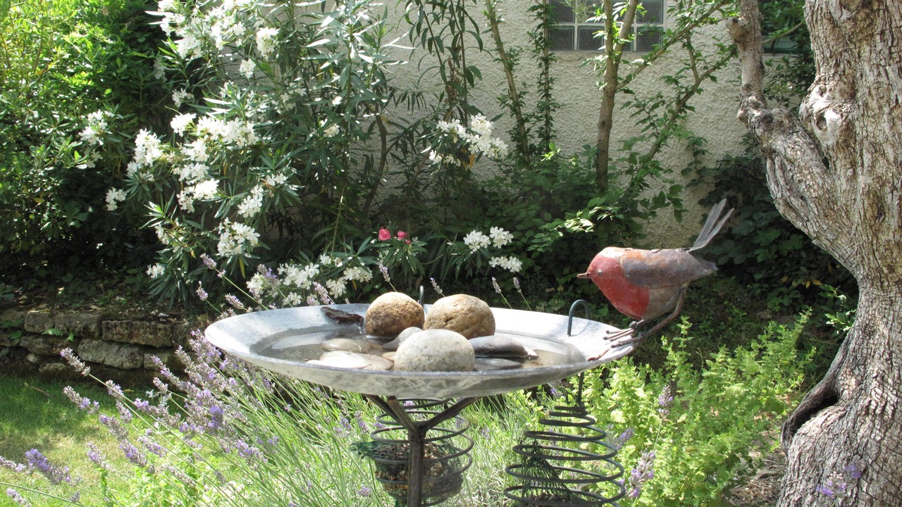 Photo of Outdoor in Loriol-du-Comtat