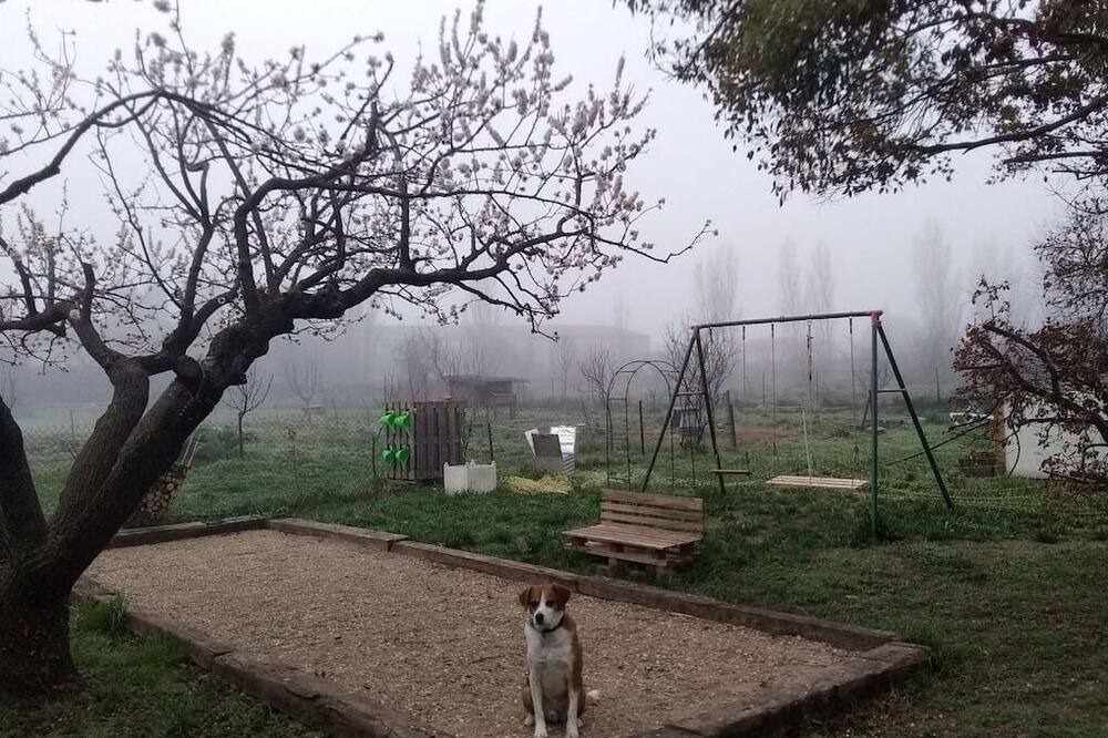 Photo of Outdoor in Pelissanne