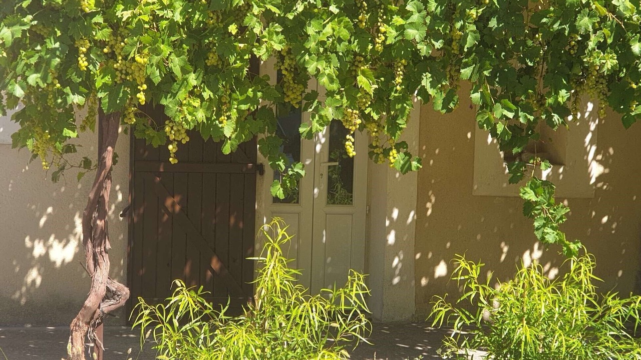 Photo of Outdoor in St.-Remy-de-Provence