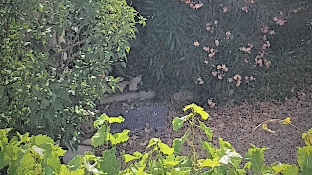 Photo of Outdoor in St.-Remy-de-Provence