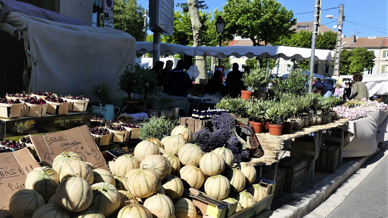 Photo of Outdoor in St.-Remy-de-Provence