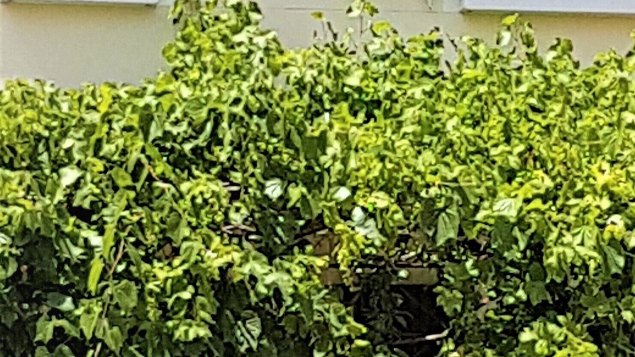 Photo of Outdoor in St.-Remy-de-Provence