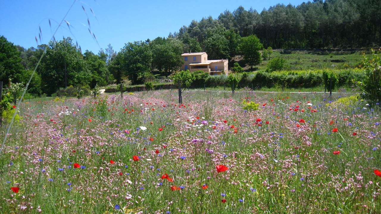 Photo of Outdoor in Entrecasteaux