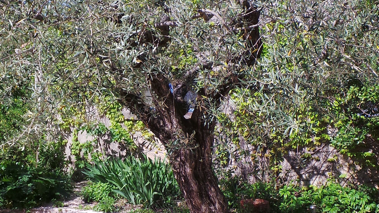 Photo of Outdoor in Bezouce