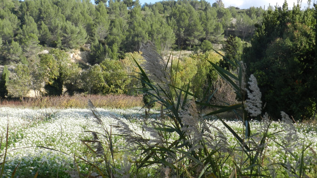 Photo of Outdoor in Boulbon