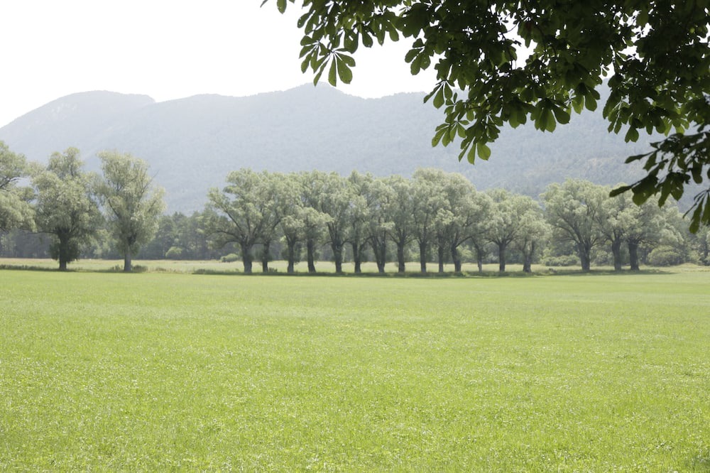 Photo of Others in Valderoure