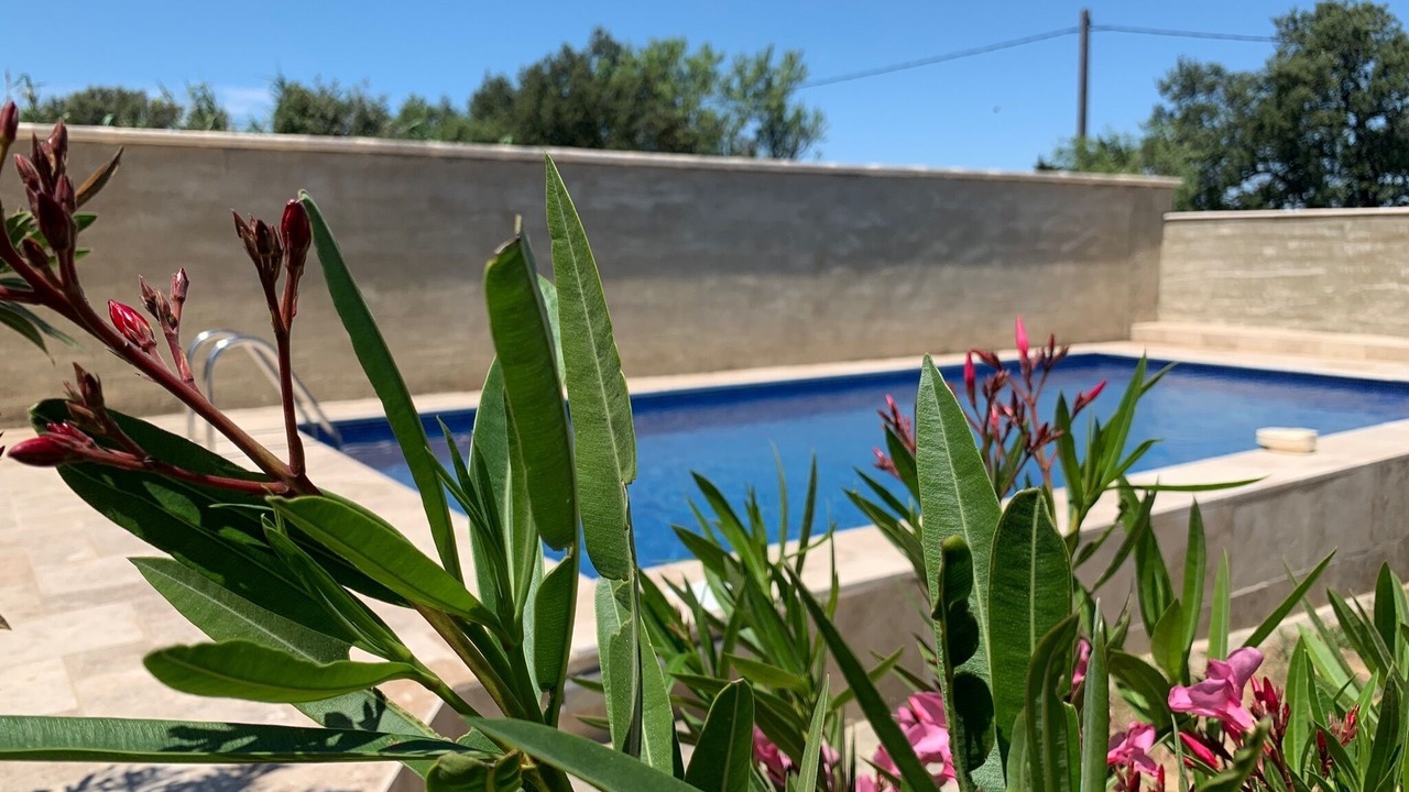 Photo of Outdoor in Courthezon