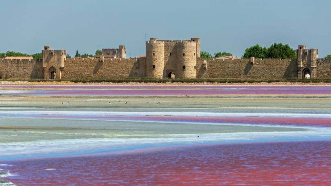 Photo of Others in Courthezon