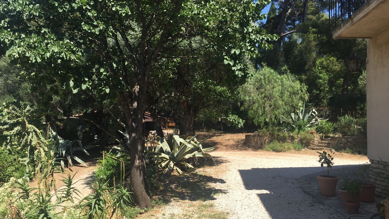 Photo of Outdoor in Le Mourillon