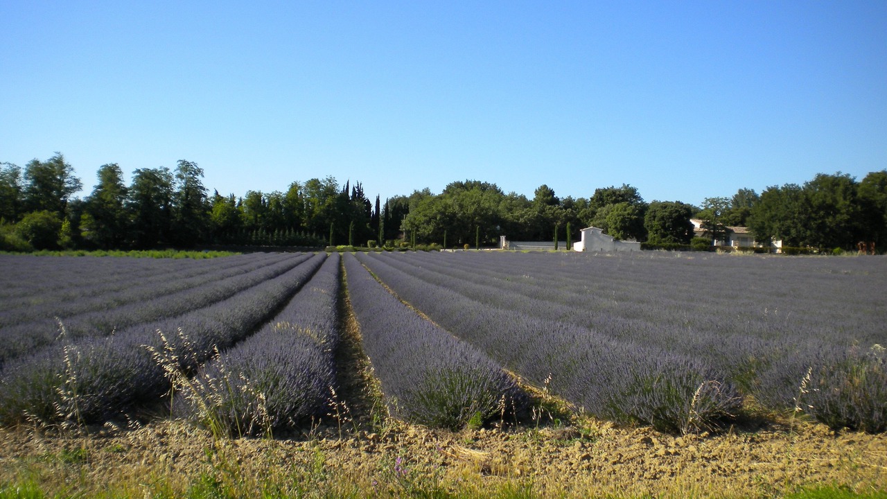 Photo of Outdoor in Bouchet