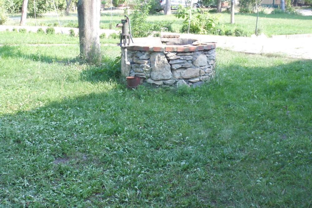 Photo of Outdoor in Saze